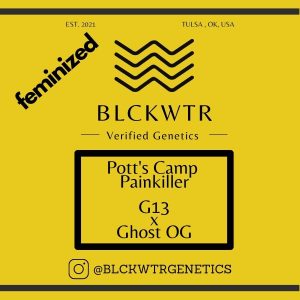 Pott's Camp Painkiller