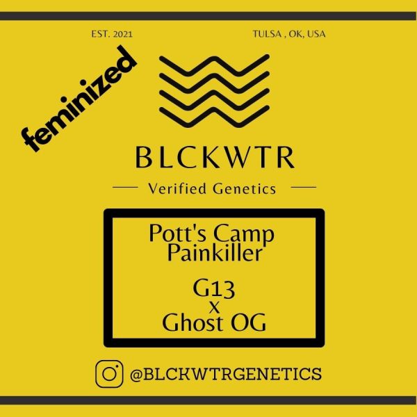 Pott's Camp Painkiller