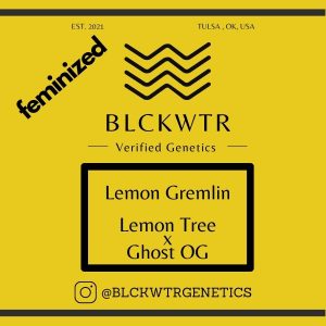 Lemon Gremlin Feminized