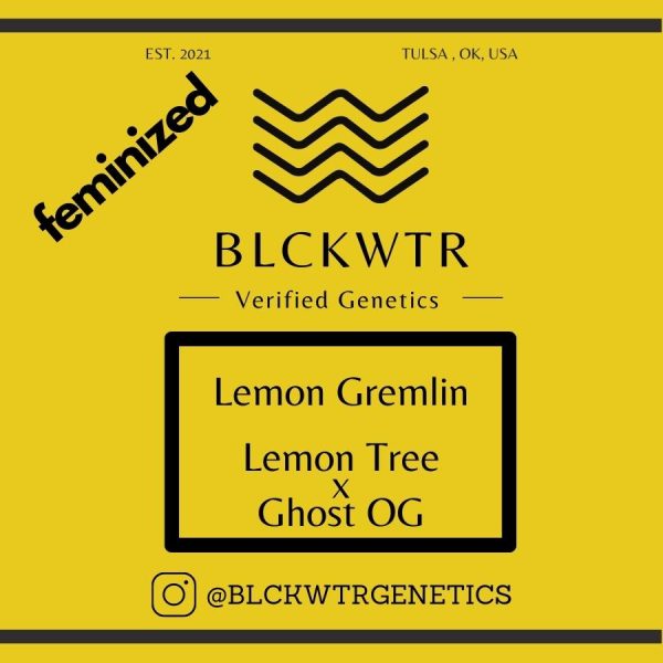 Lemon Gremlin Feminized