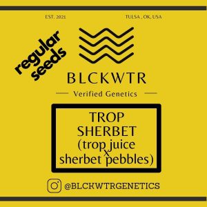 Trop Sherbet (trop juice x sherbet pebbles) 10 regular seeds
